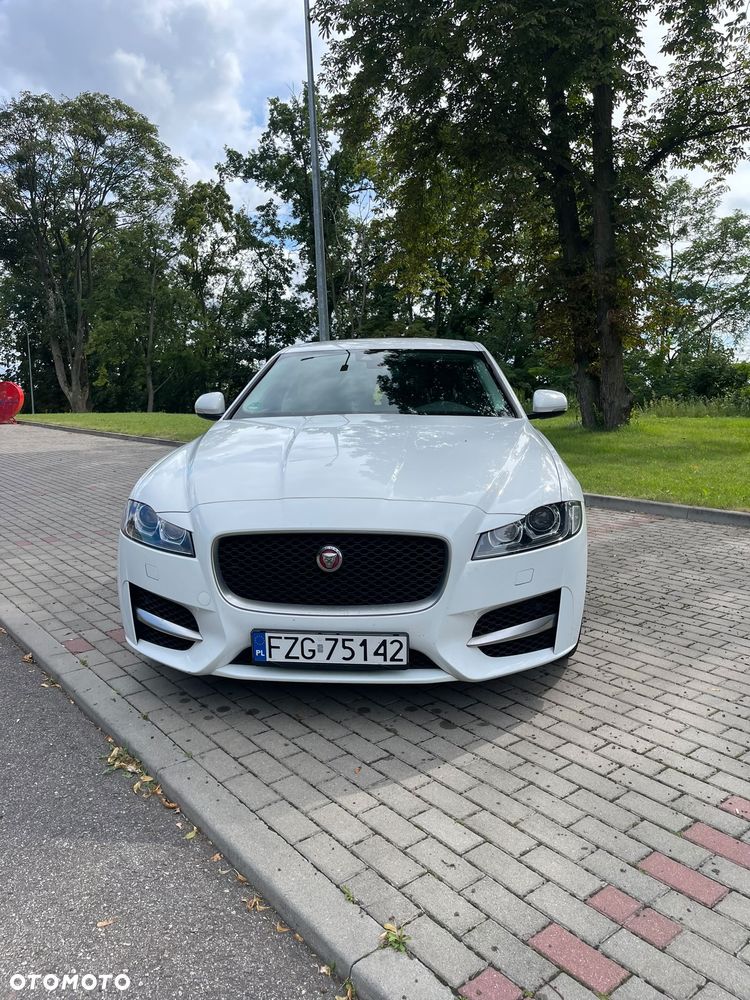 Jaguar XF 2.0 i4D R-Sport - 5