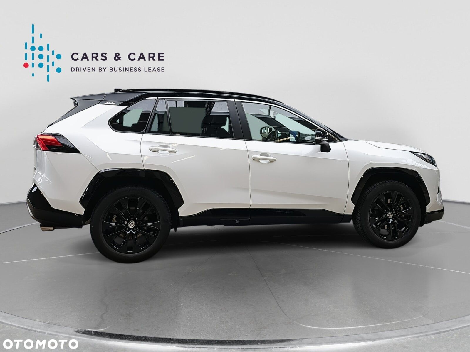 Toyota RAV4 2.5 Hybrid Selection 4x4 - 29