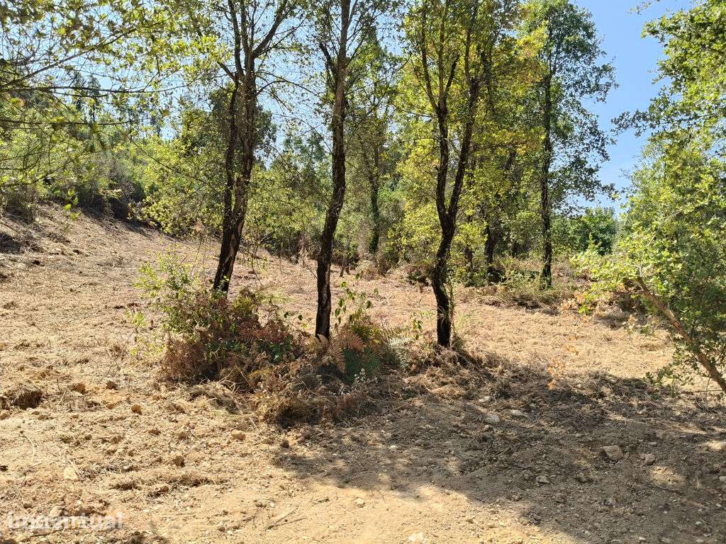 Terreno em Côja - Grande imagem: 5/5