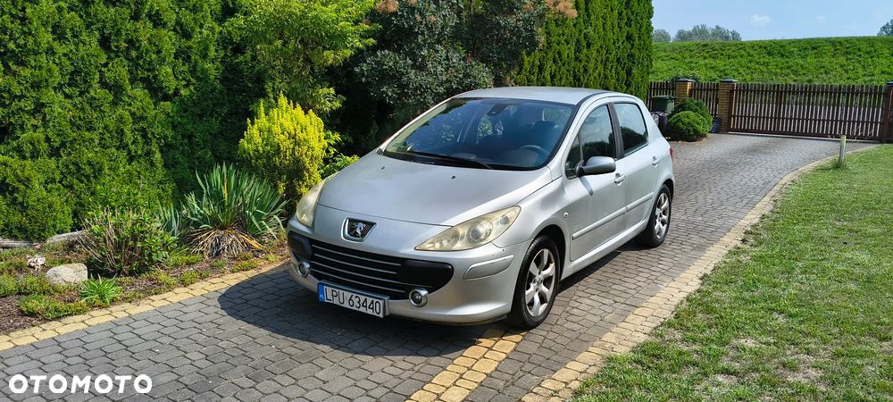 Peugeot 307 1.6 Oxygo - 5