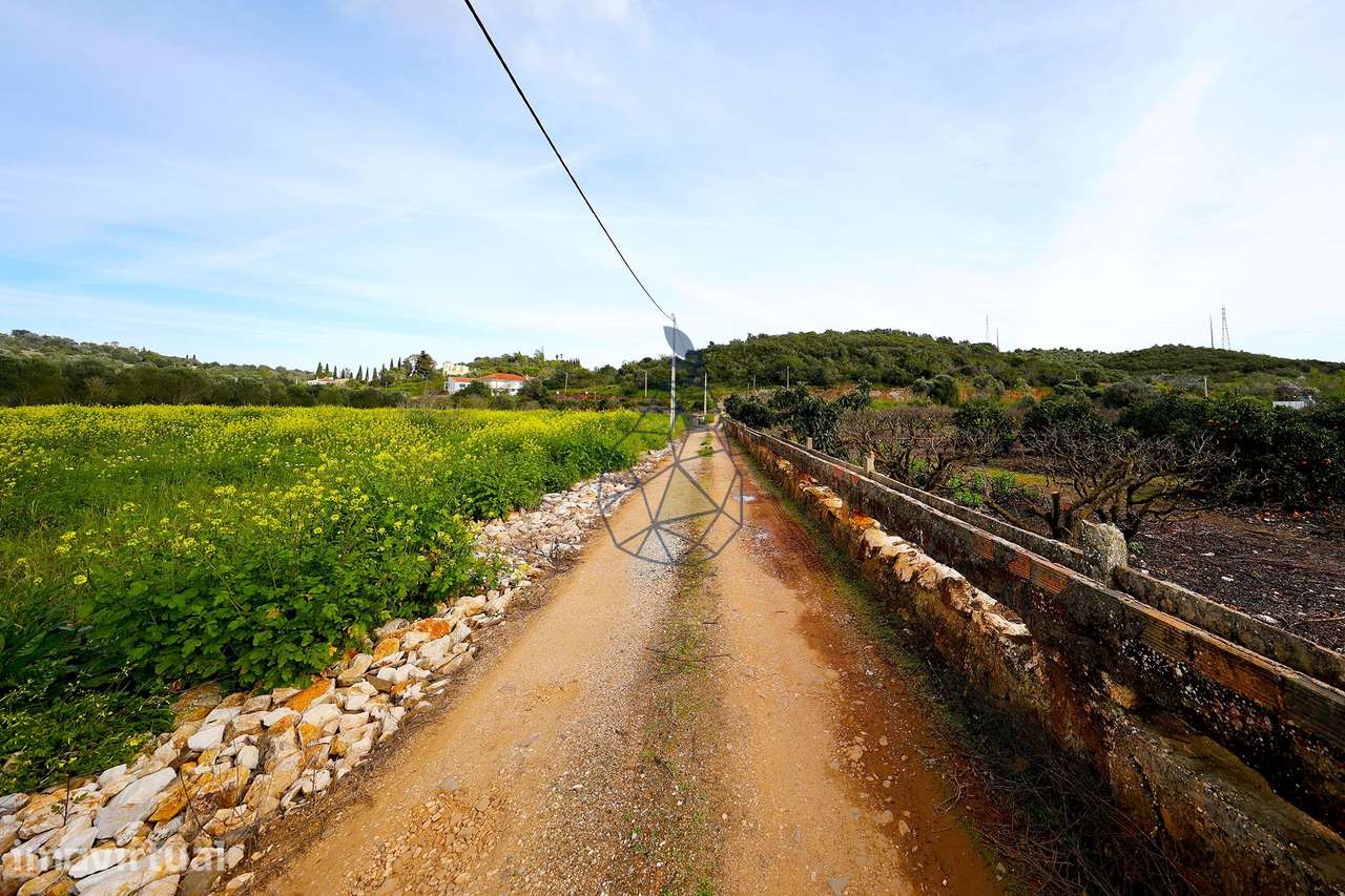 Quinta de 6,7ha com dois urbanos  na Mexilhoeira Grande - Grande imagem: 2/32
