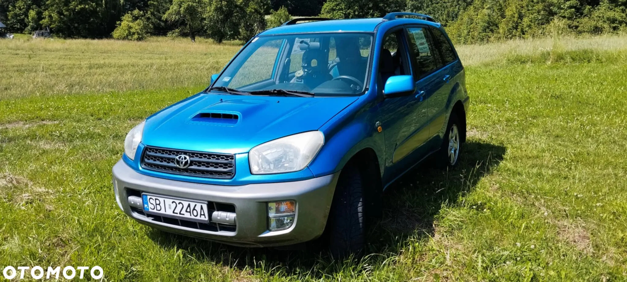 Toyota RAV4 2.0 D-4D 4x4 - 8