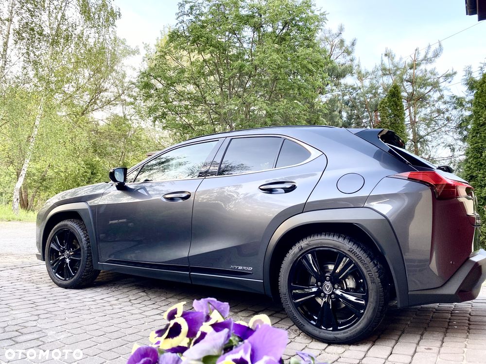 Lexus UX 250h GPF F Impression 2WD - 5