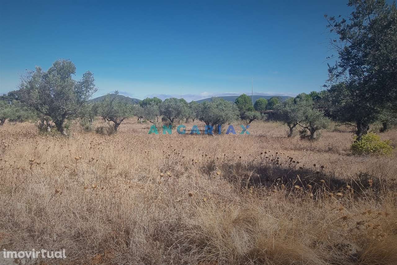 ANG1195 - Terreno para Venda em Alcanena, Santarém - Grande imagem: 3/13