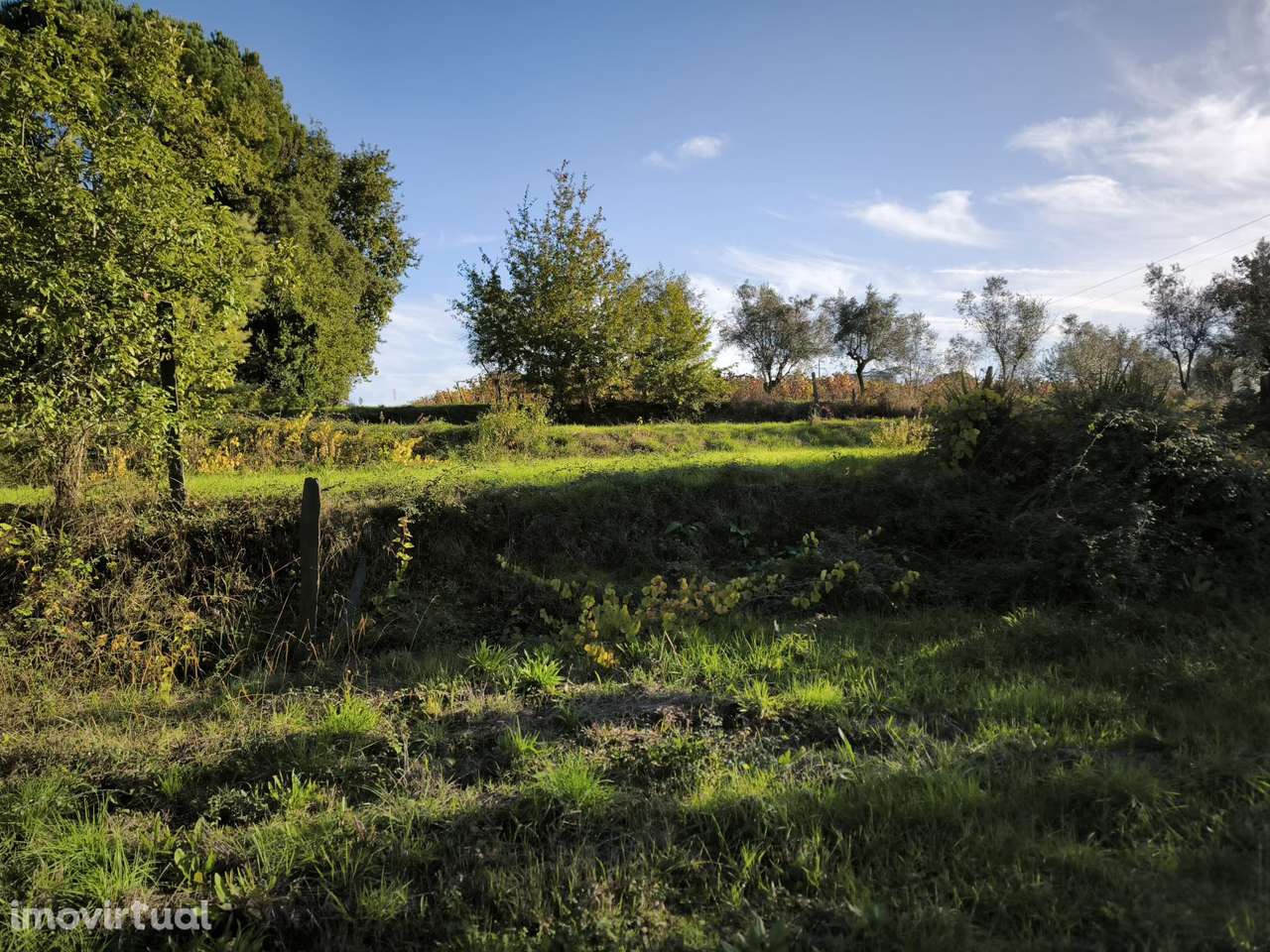 Terreno  Venda em Oliveira do Conde,Carregal do Sal - Grande imagem: 4/17