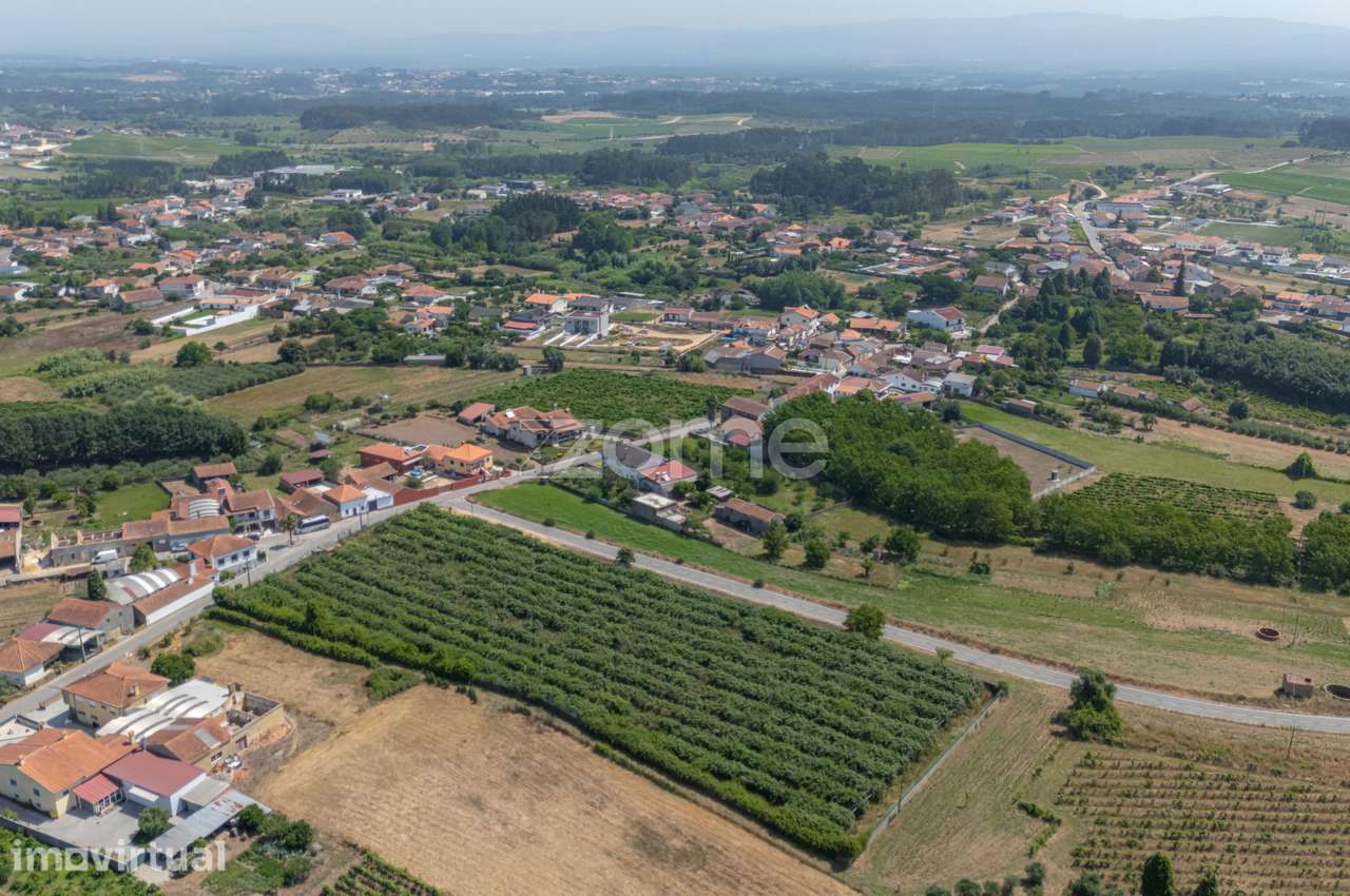 Terreno Terreno Urbanizável com Pomar Kiwis e Poço – Paredes do Bai... - Grande imagem: 4/22