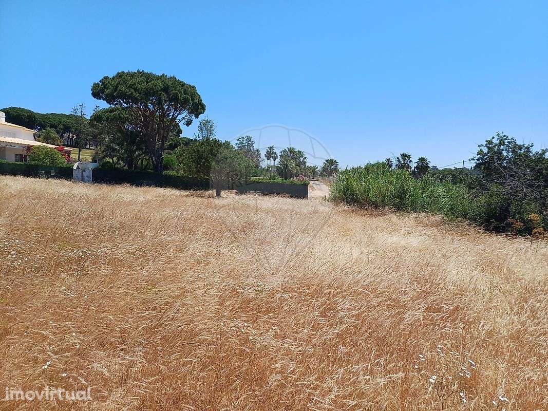 Terreno  para venda - Grande imagem: 5/10