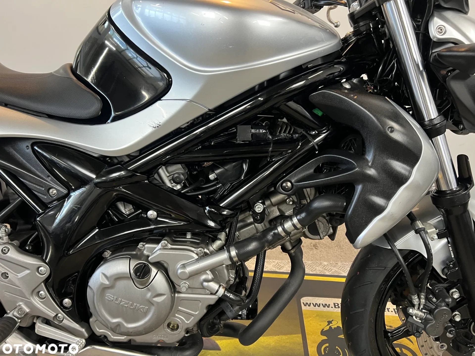 Suzuki Gladius - 10