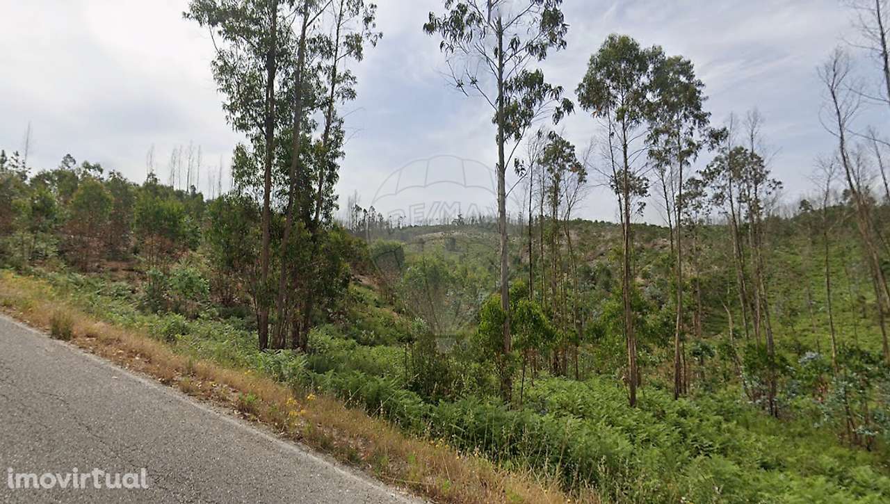 Terreno  para venda - Grande imagem: 4/12