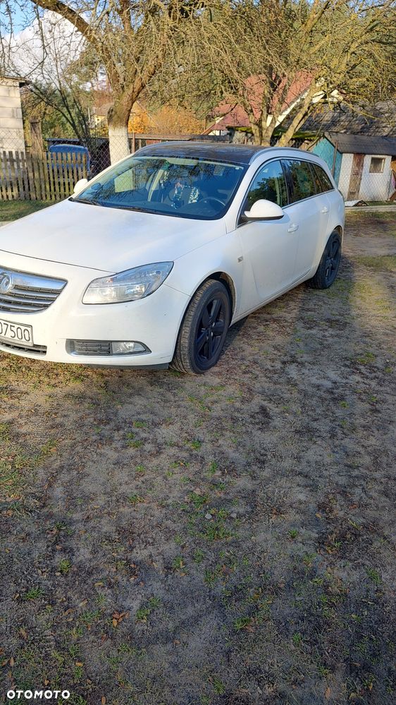 Opel Insignia 2.0 CDTI EcoFLEX Start/Stop Active - 1