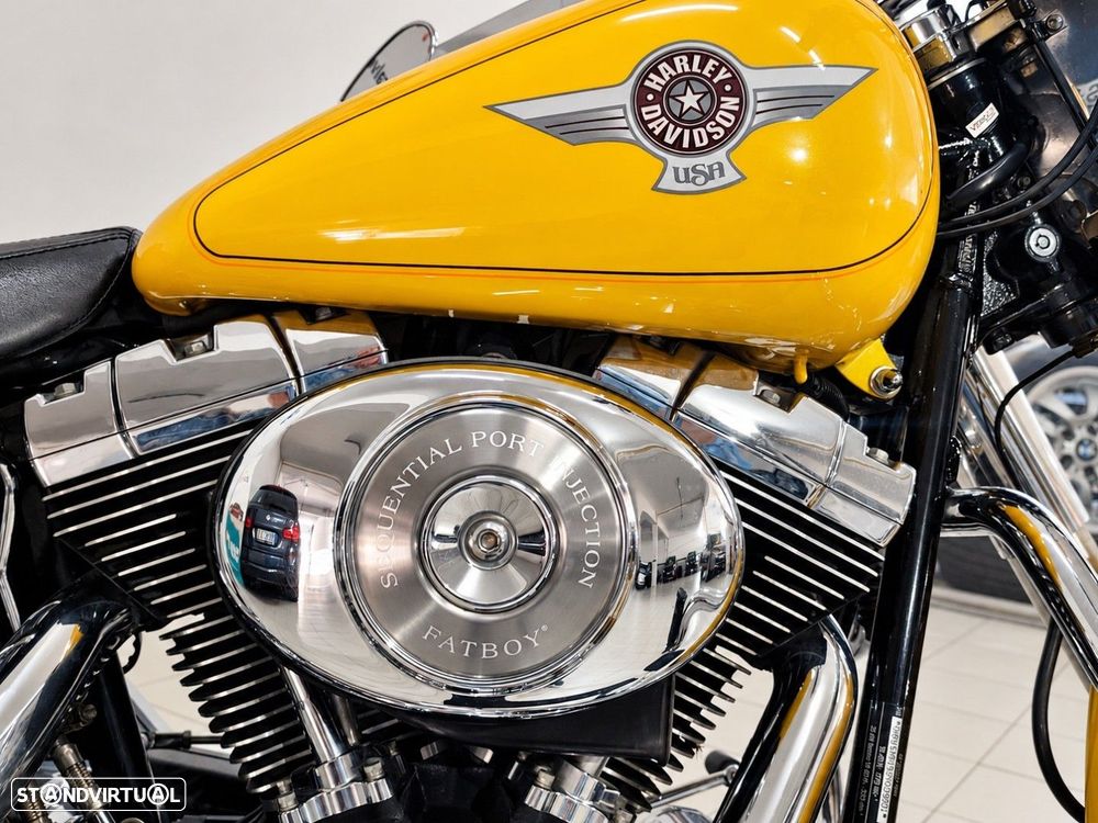 Harley-Davidson Fat Boy . - 10