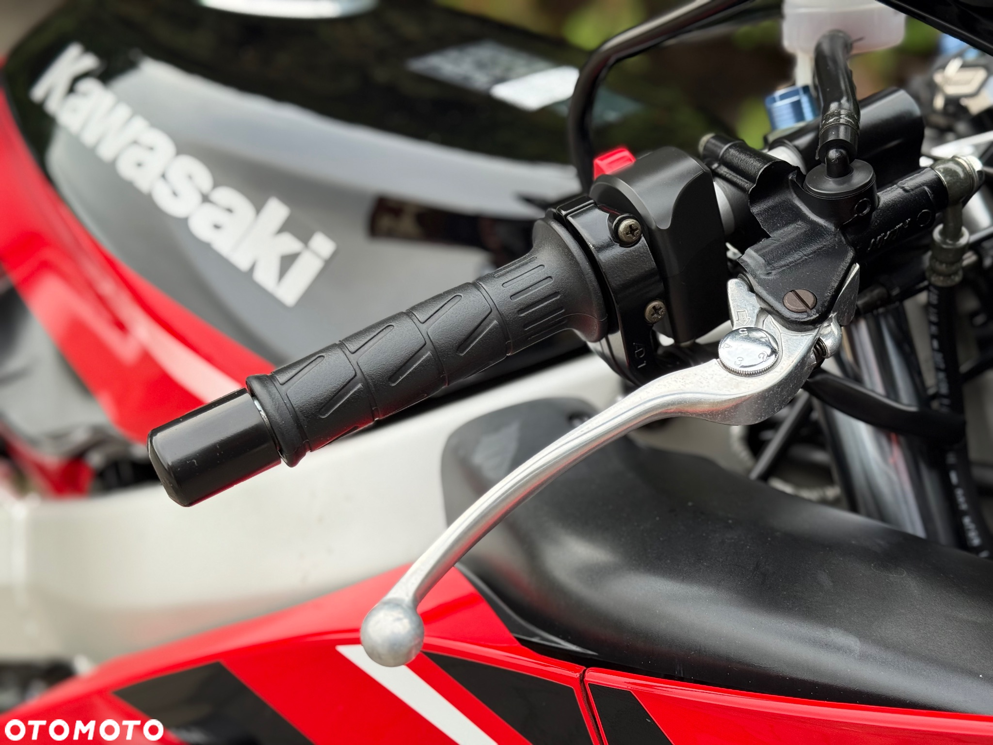 Kawasaki ZX - 13