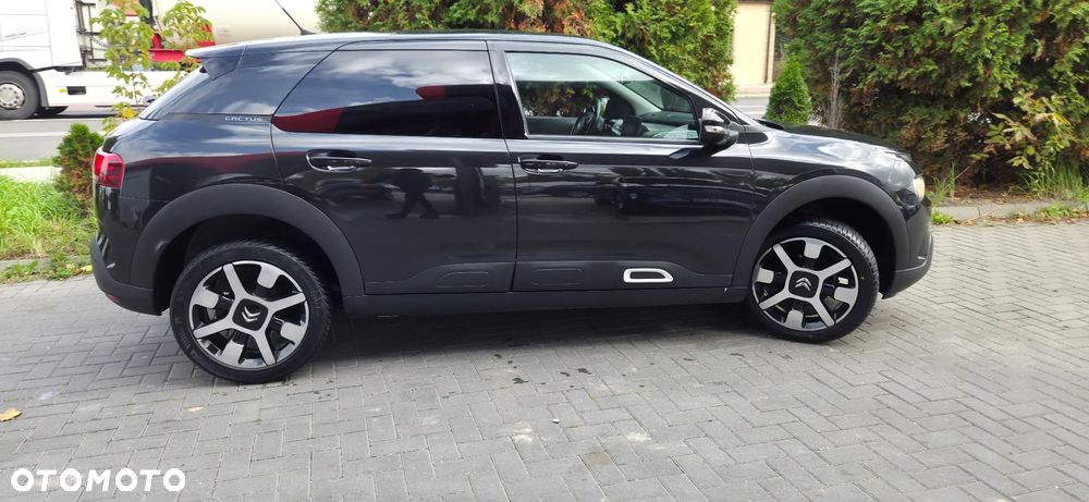 Citroën C4 Cactus PureTech 110 Stop&Start EAT6 Origins - 17