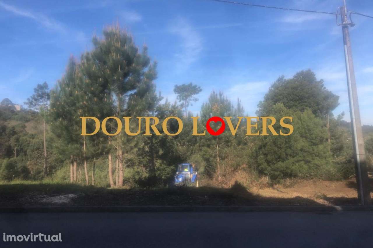 Terreno em Crestuma, Vila Nova de Gaia, a 200 mts do rio Douro - Grande imagem: 3/6