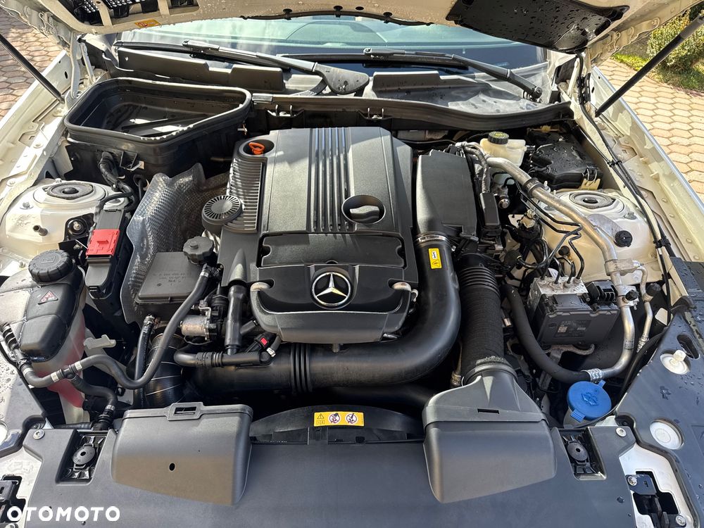 Mercedes-Benz SLK 250 (BlueEFFICIENCY) 7G-TRONIC - 24