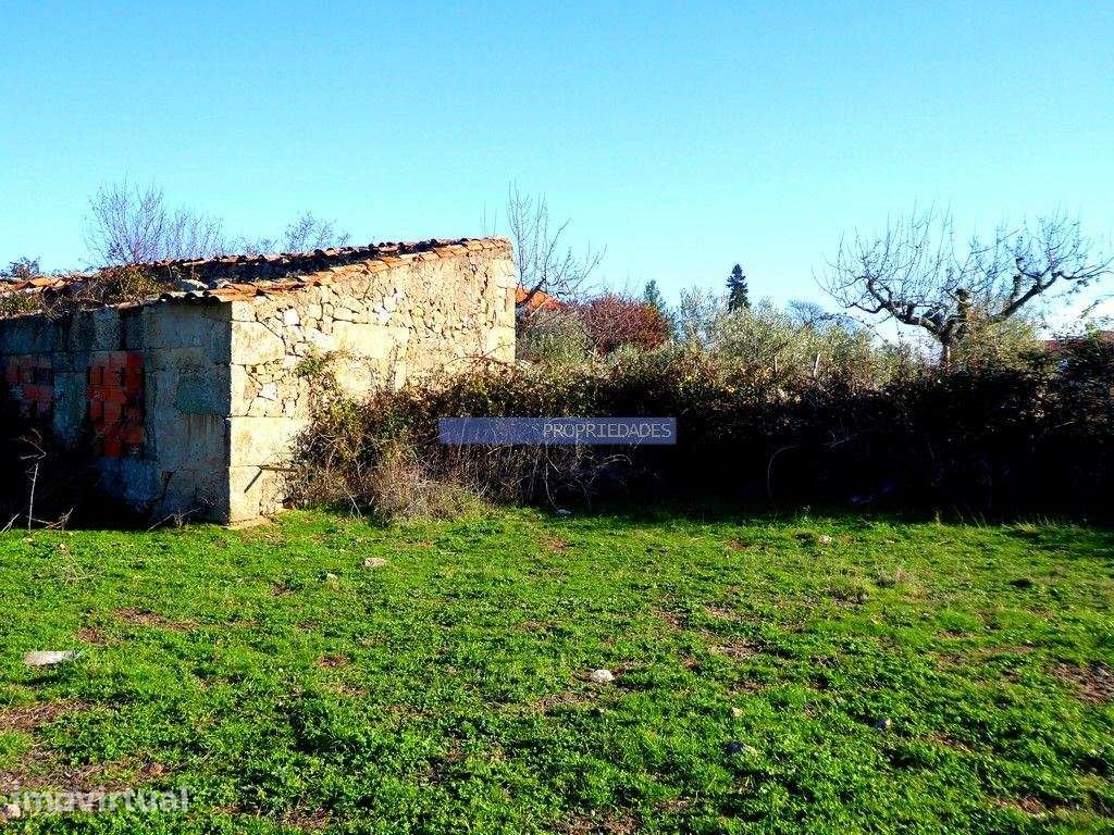 Casa de Campo em ruína em 15 000m2. Portugal, Guarda, F. C. Rodrigo - Grande imagem: 2/4