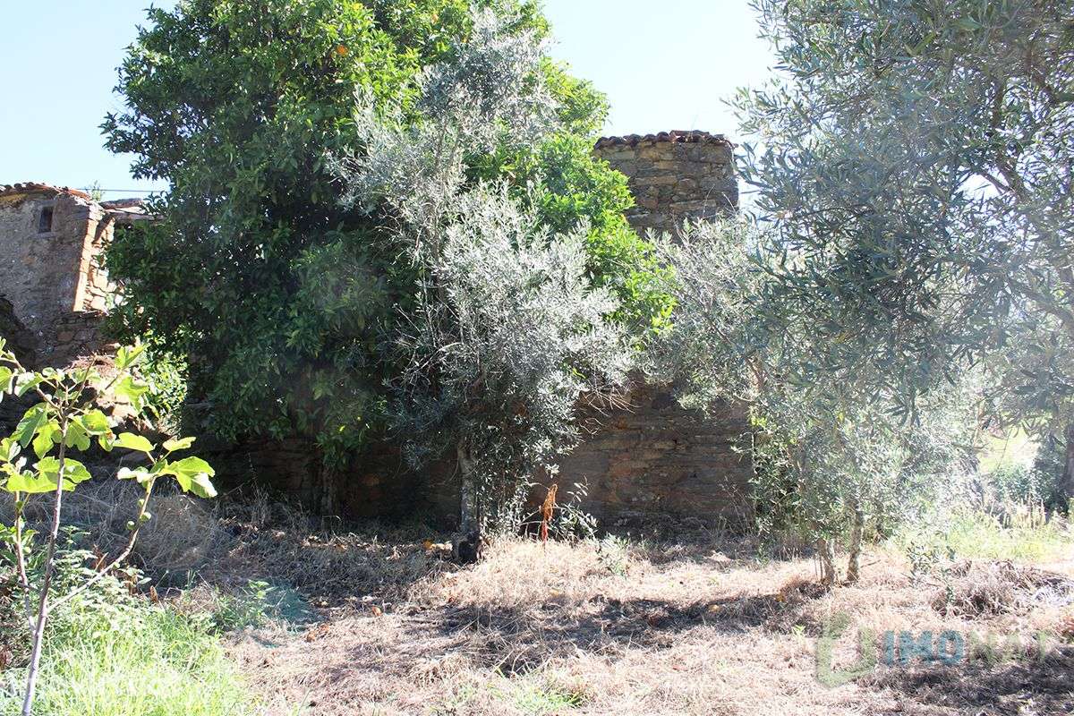 Imóvel Rural - Grande imagem: 3/32