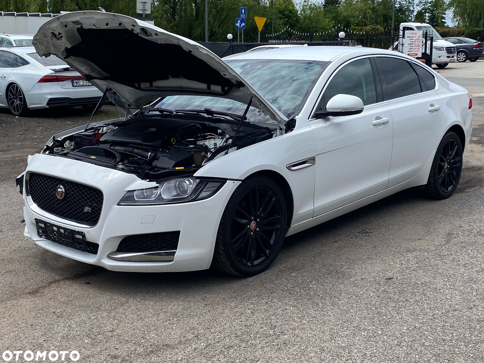 Jaguar XF 2.0 i4D Pure - 1