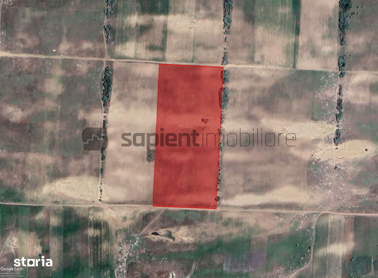 Sapient | Teren agricol _ loc. Desa, jud. Dolj - Imagine principală: 2/4
