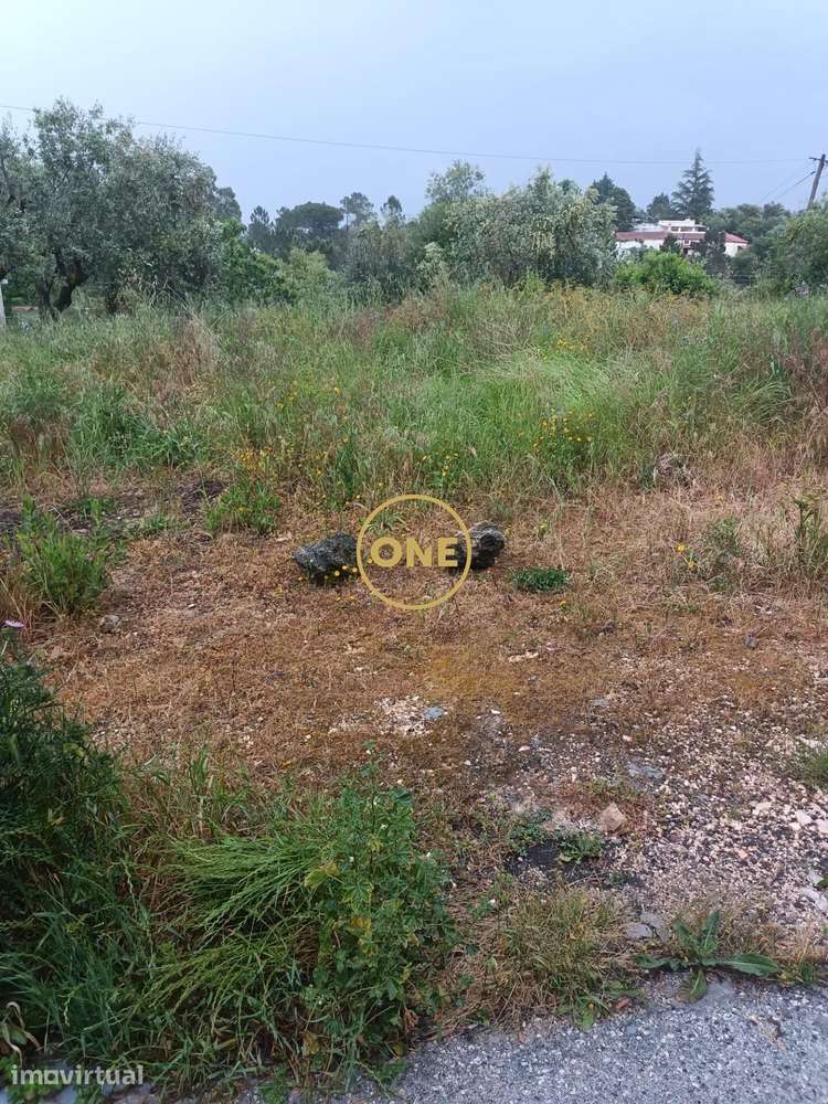 Terreno na Ameixeira – Condeixa-a-Nova - Grande imagem: 4/13