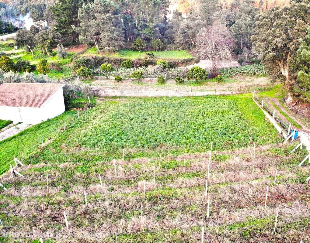 Terreno  para venda - Grande imagem: 2/20