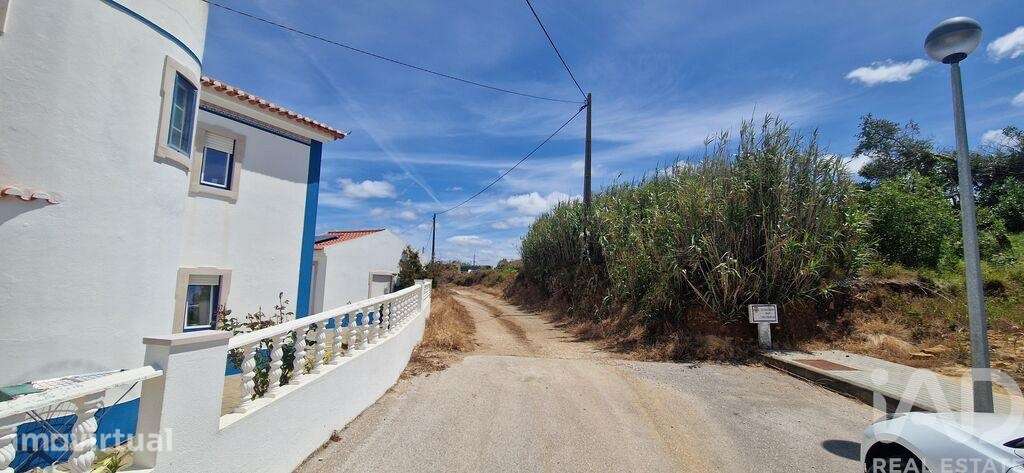 Terreno Agrícola em Santo Isidoro - Grande imagem: 2/19