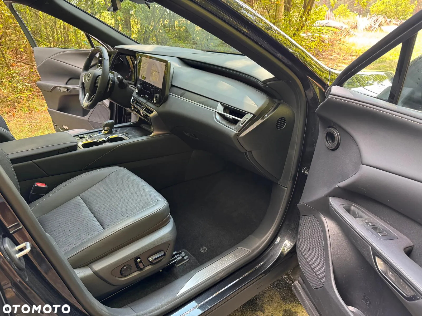 Lexus RX 350h (hybrid) Business - 21