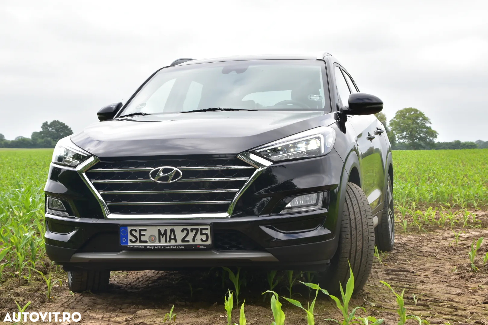 Hyundai Tucson blue 1.6 CRDi 2WD Style - 28