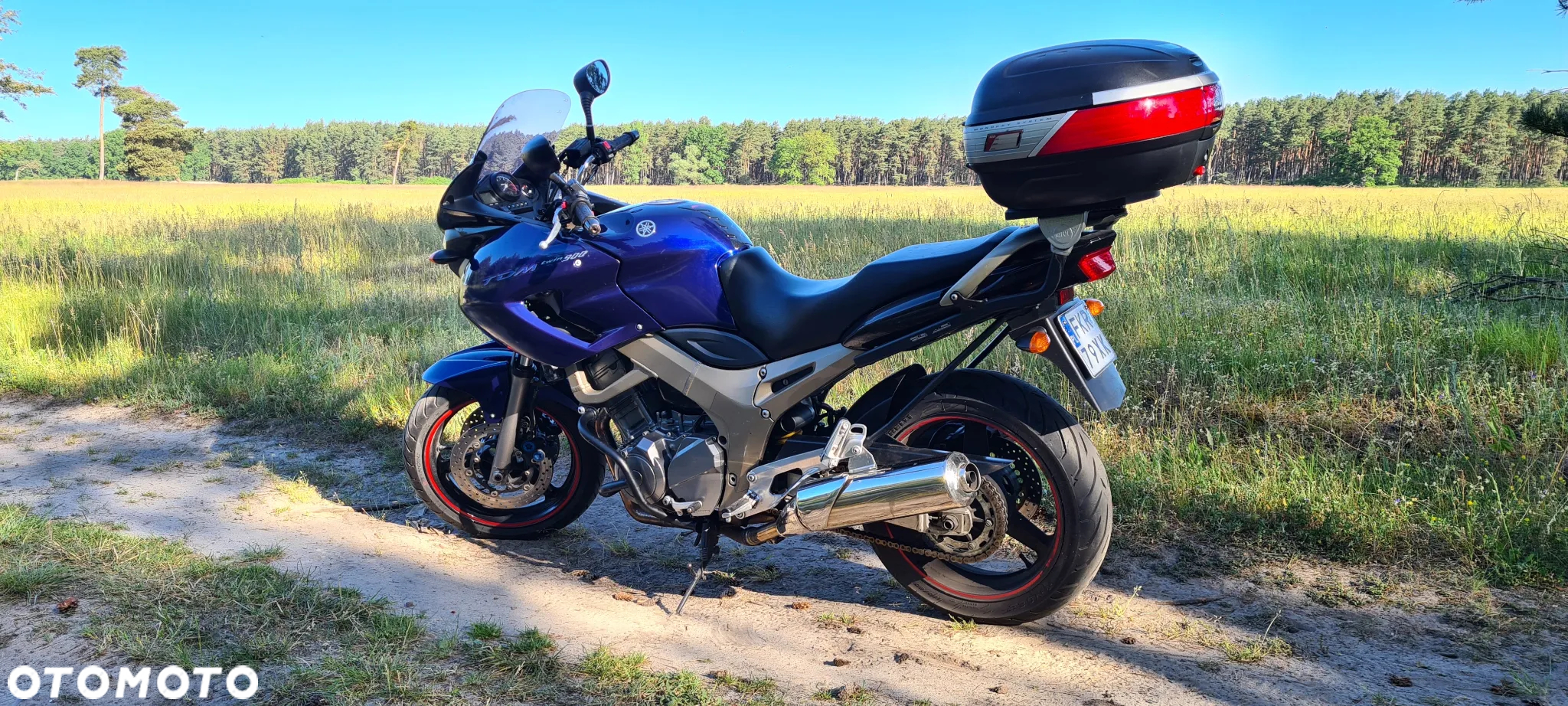 Yamaha TDM - 5