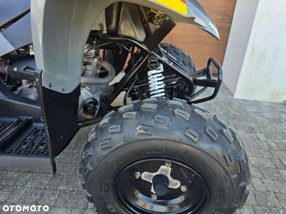 Polaris Phoenix - 23