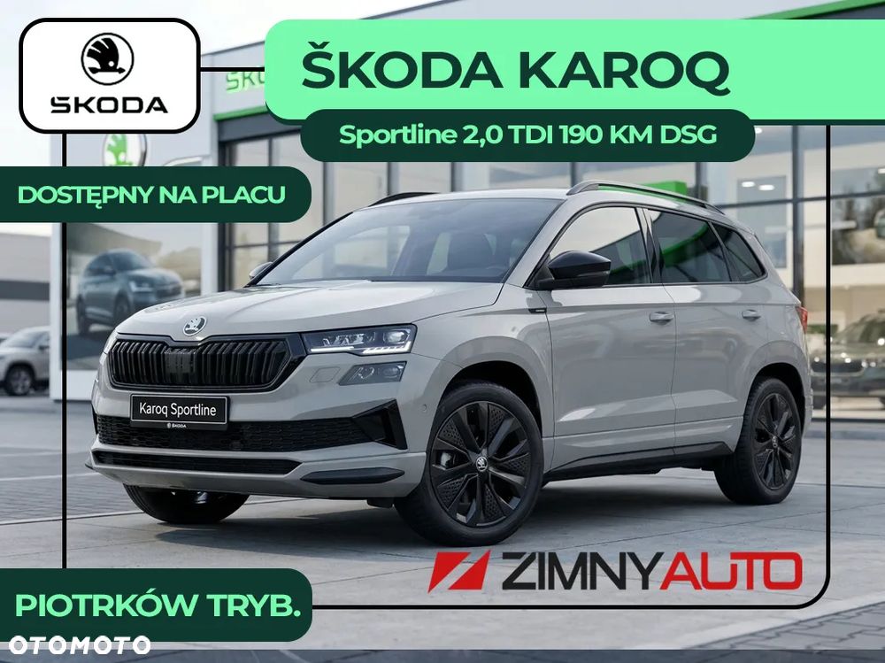 Skoda Karoq - 2