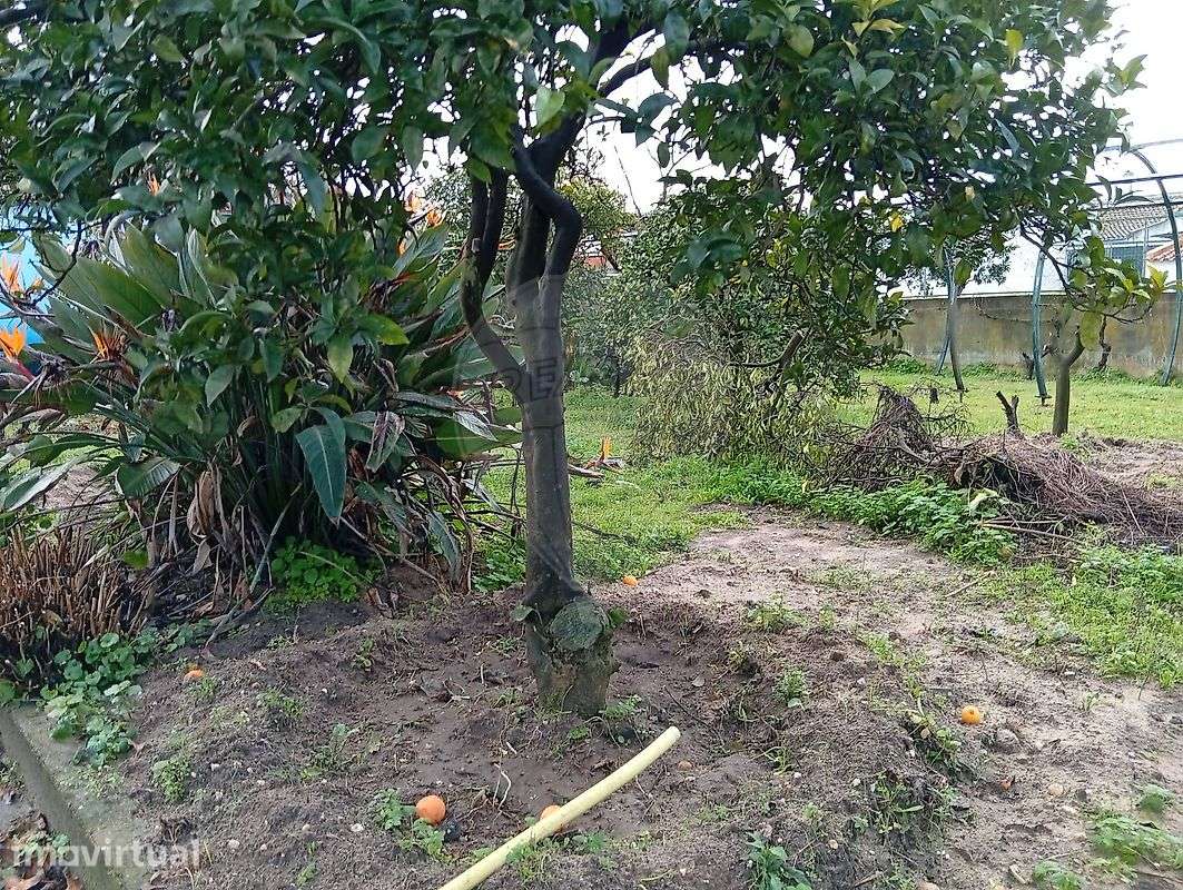 Terreno  para venda - Grande imagem: 2/15