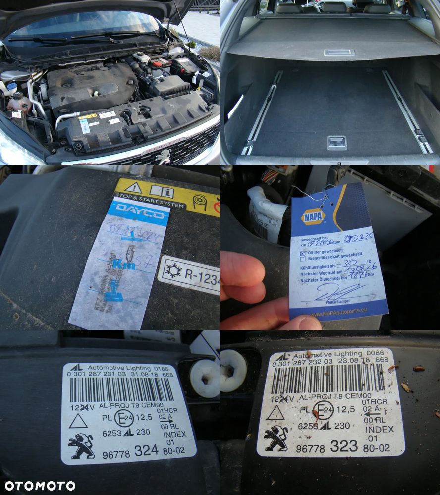 Peugeot 308 BlueHDi 180 EAT6 GT - 17