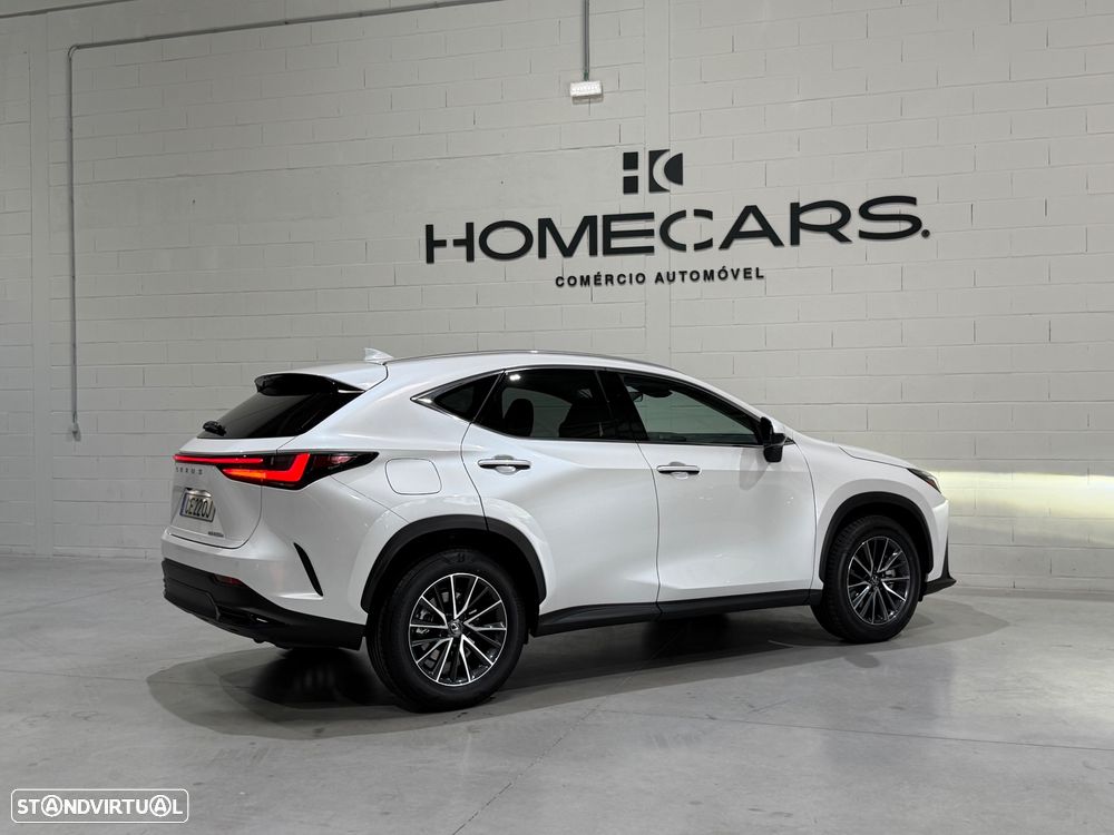 Lexus NX 450h+ Executive - 13