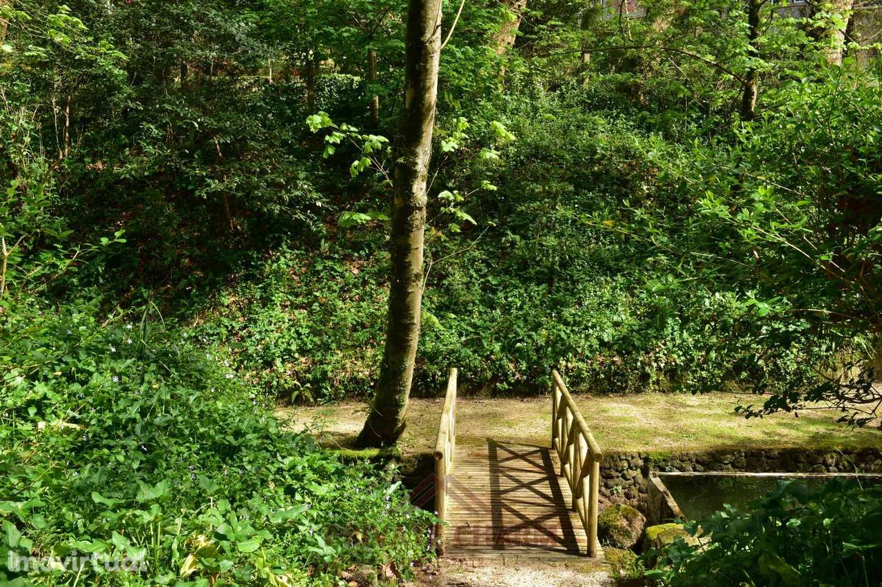 Quinta com área total de terreno 7.650m2 - Grande imagem: 5/46