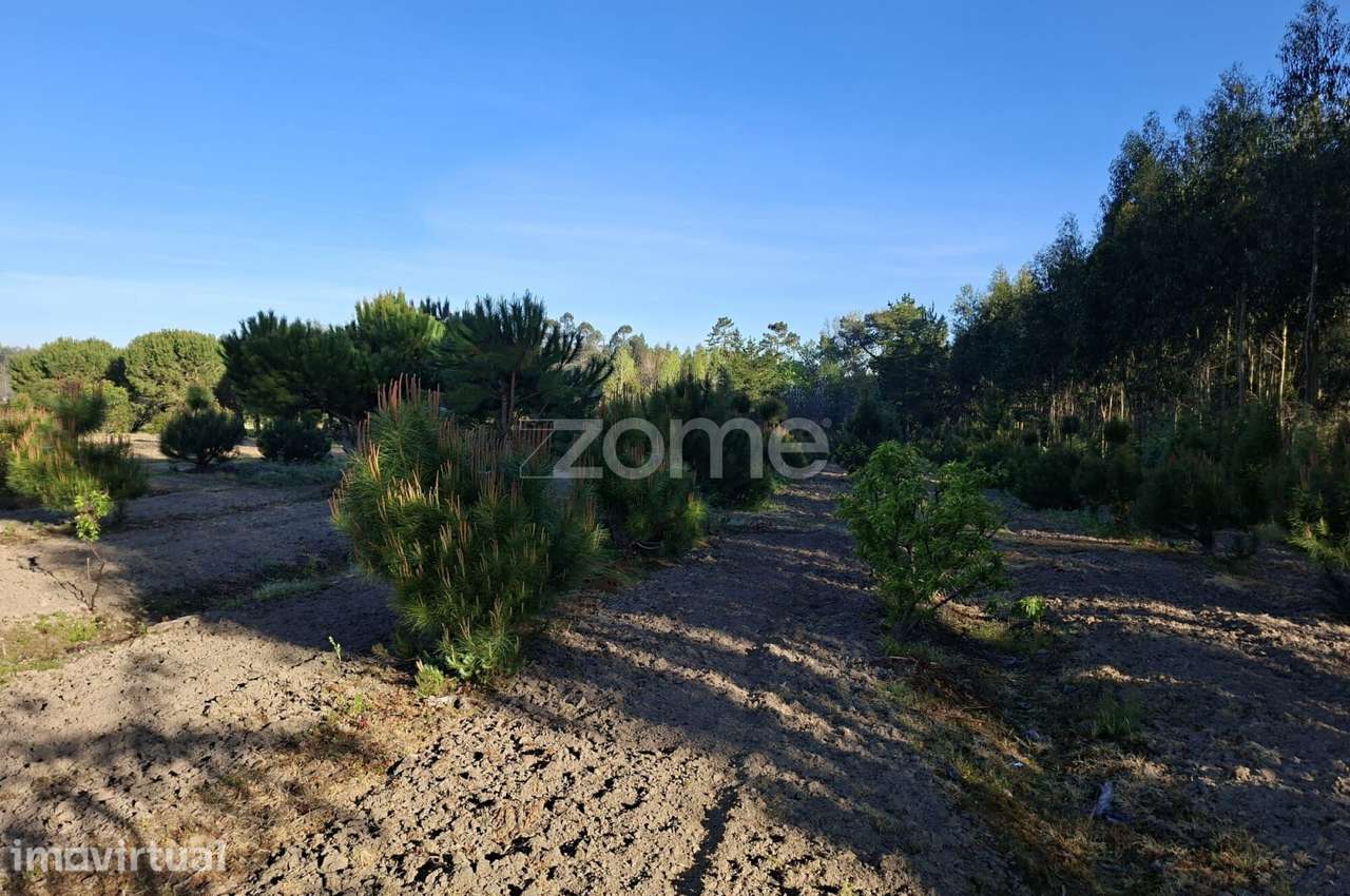 Terreno I 24 800m2 I Palhaça I Projeto moradia I 2 artigos - Grande imagem: 2/17