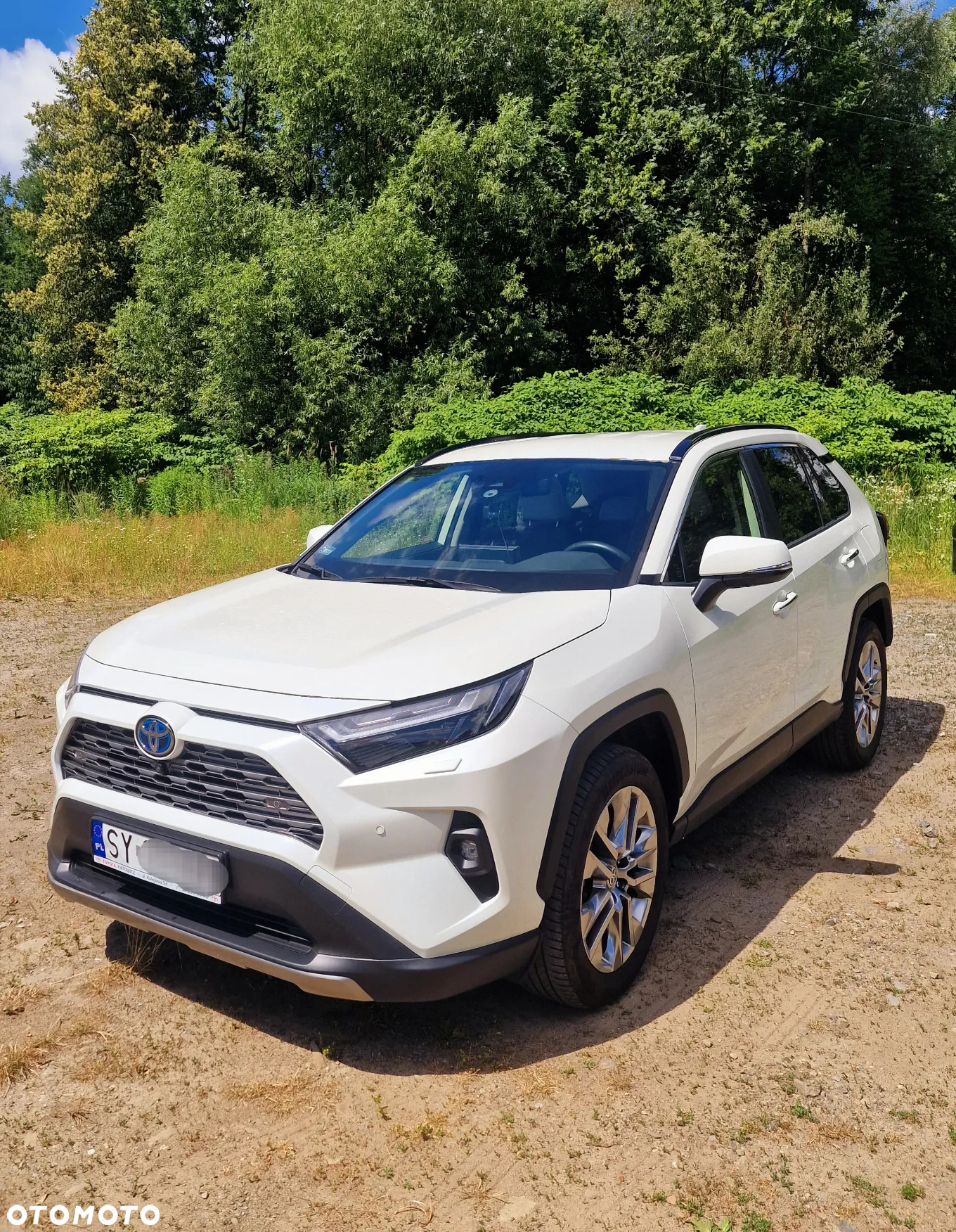 Toyota RAV4 2.5 Hybrid Executive 4x4 - 15