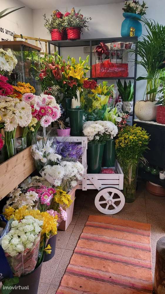 Quiosque comercial com Estacionamento Gratuito e Ar Condicionado - Grande imagem: 3/5