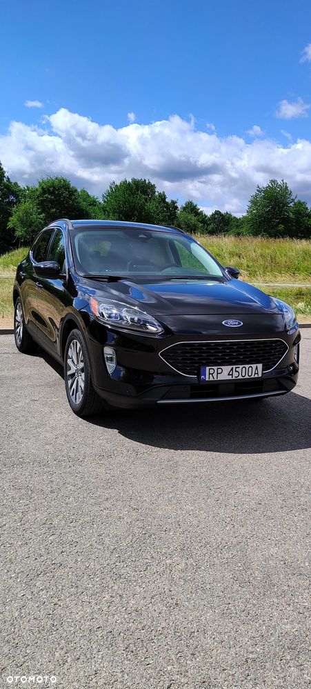 Ford Escape - 6