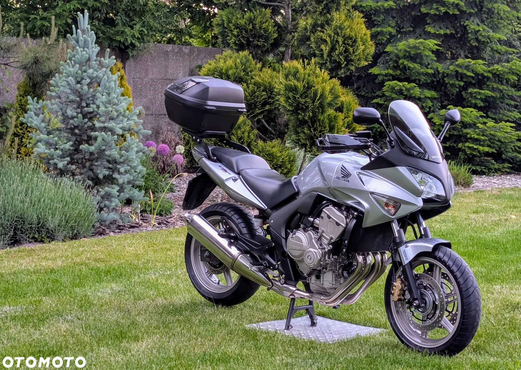 Honda CBF - 5