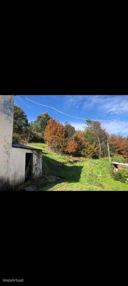 Moradia com terreno em Cabriz - Ribeira de Pena - Grande imagem: 3/15