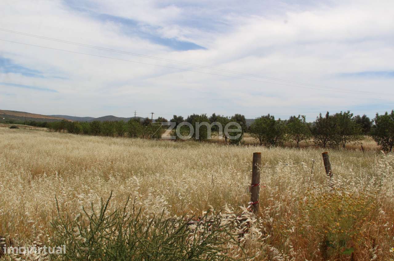Terreno rústico com uma área generosa de 3 Hectares totalmente plan... - Grande imagem: 5/15