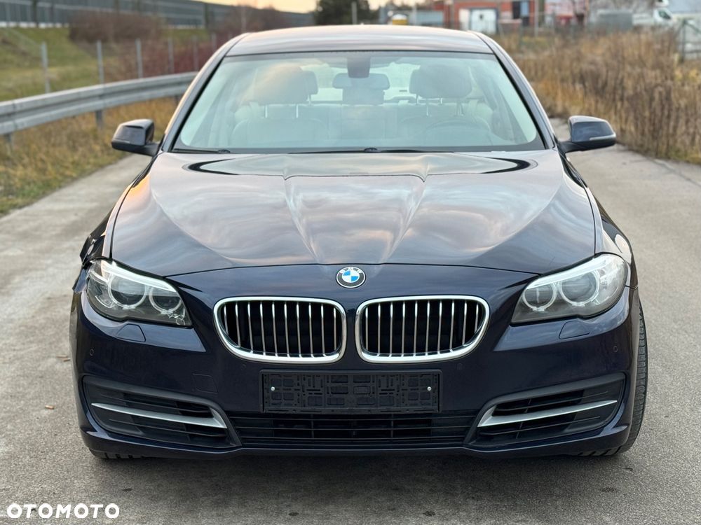 BMW Seria 5 520d Efficient Dynamics - 2