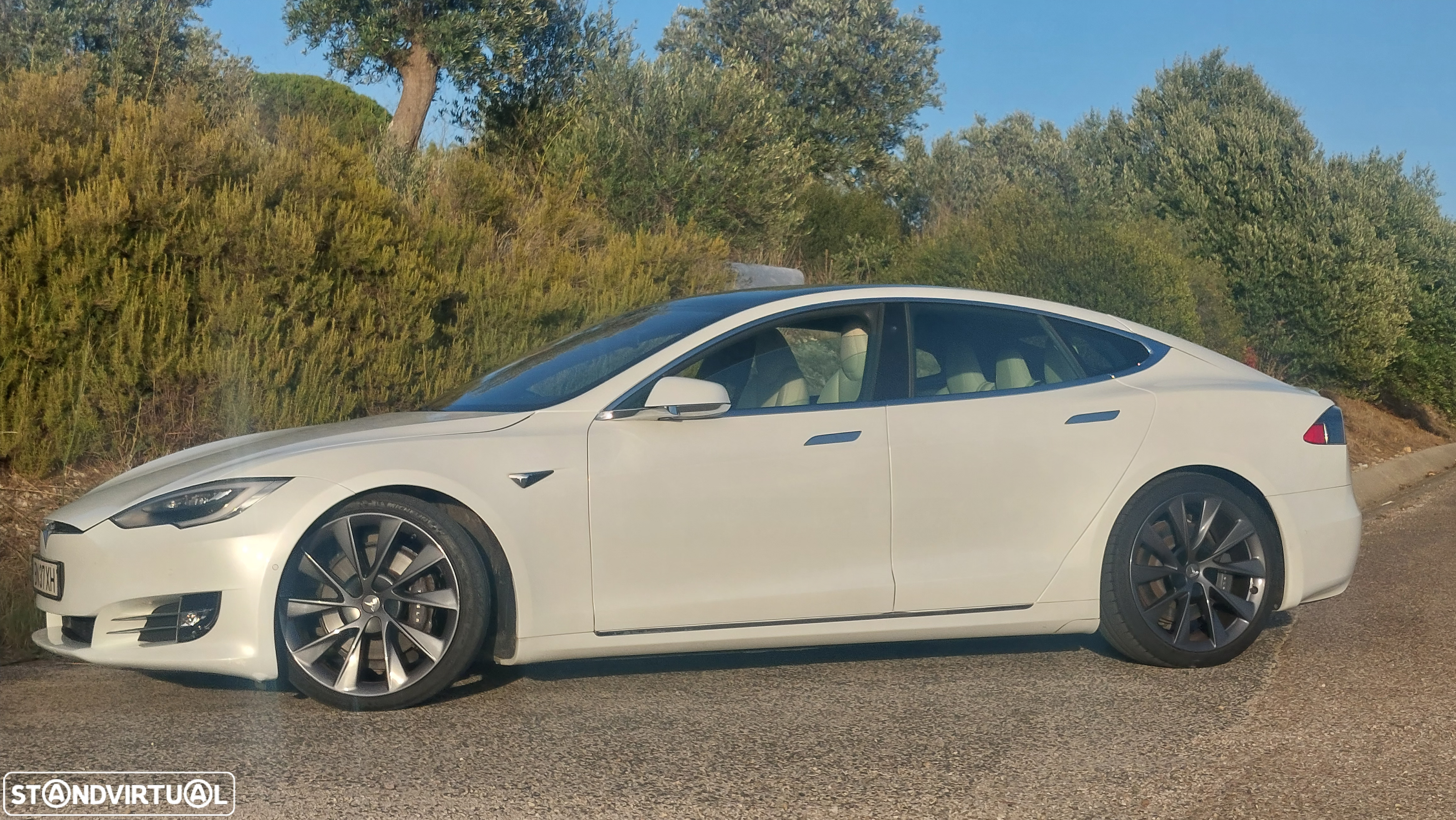 Tesla Model S Long Range - 14