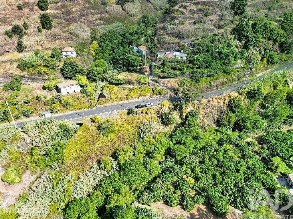 Terreno Agrícola em Tabua - Grande imagem: 2/15