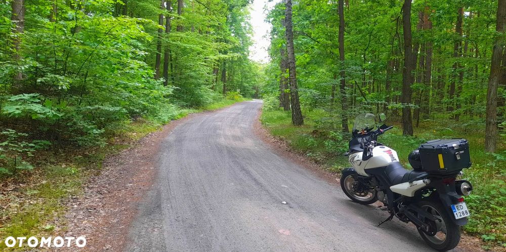 Suzuki V-STROM - 6
