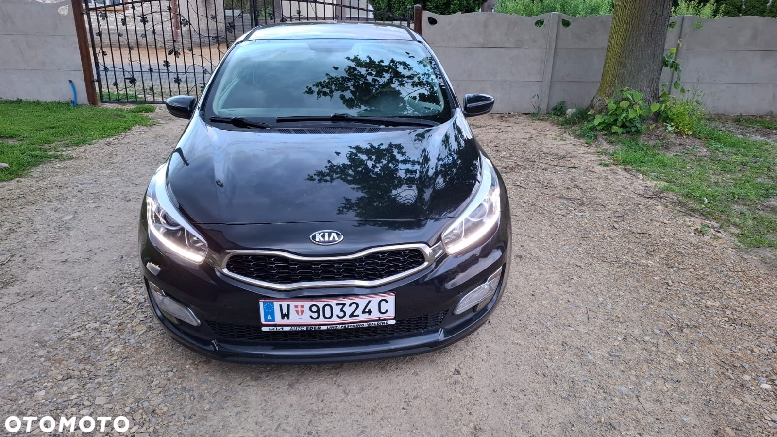 Kia ProCeed - 16