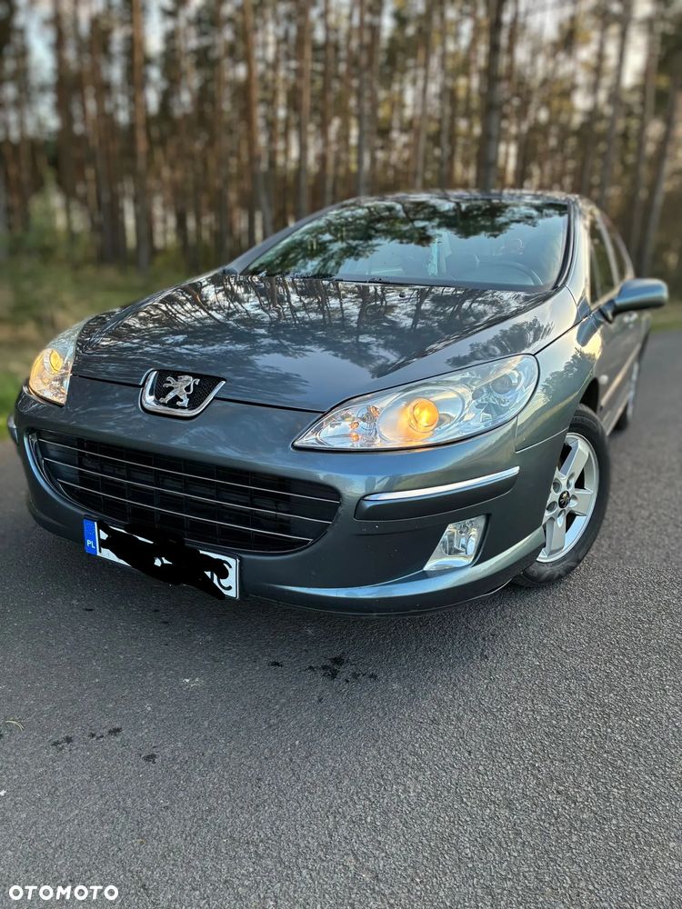 Peugeot 407 - 3