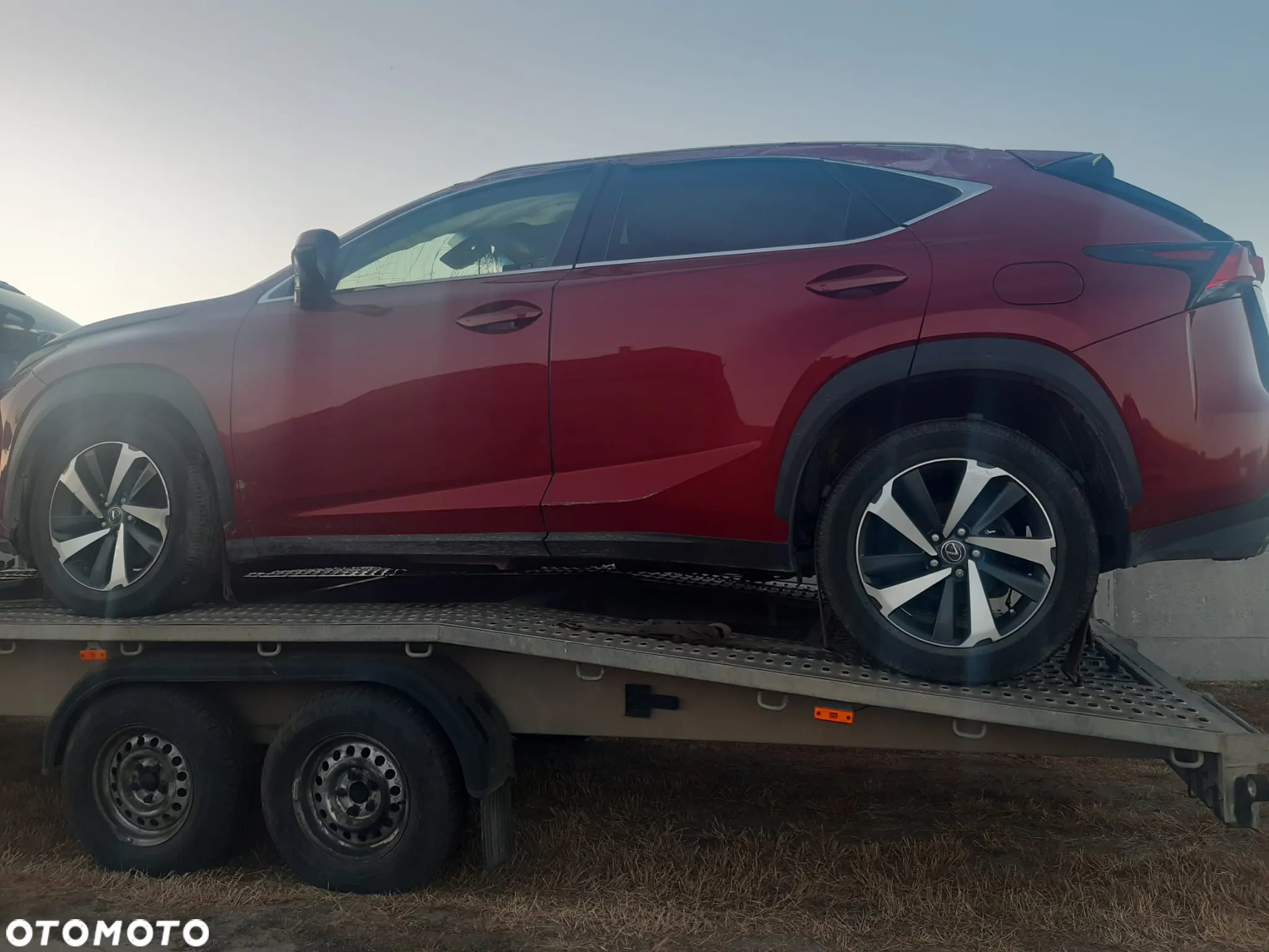 Lexus NX 300 GPF Prestige AWD - 3