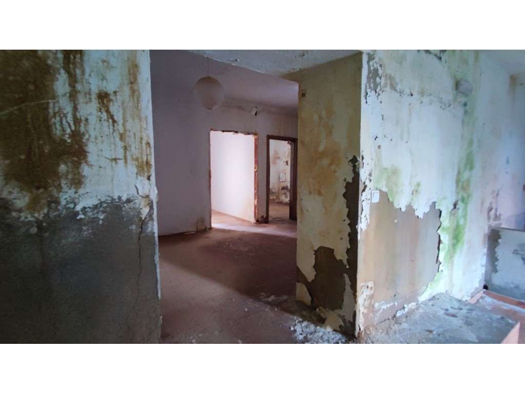 Moradia T2 com 2 pisos para renovar com projeto aprovado - Grande imagem: 3/24